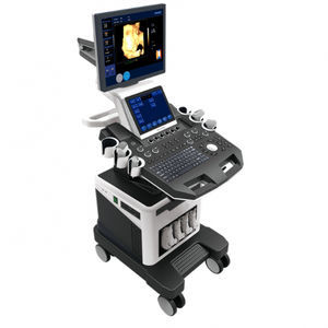 on-platform ultrasound system