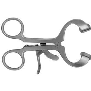 Molt mouth gag / dental