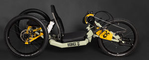 active handbike