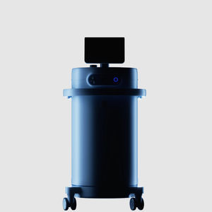 lithotripsy laser