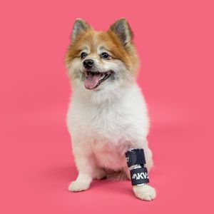 paw veterinary splint