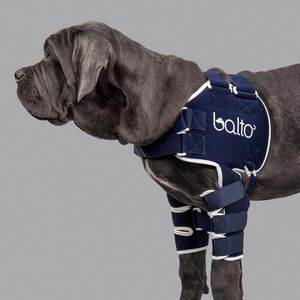 Balto® Neck - Rigid Neck Brace – KVP International, Inc.