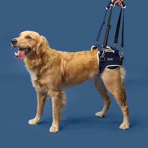 walking harness