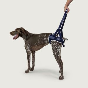 walking harness 1