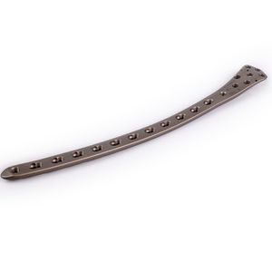 femoral osteotomy plate 1