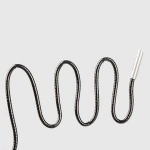 endoscopic camera 1