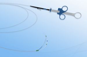 biliary sphincterotomy sphincterotome