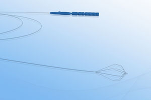 esophageal foreign body removal endoscopic basket