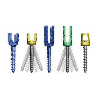 thoraco-lumbo-sacral osteosynthesis unit 1