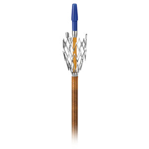peripheral stent