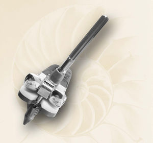 total knee prosthesis 1