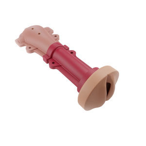 vaginal model