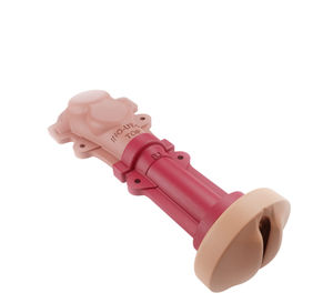 vaginal model
