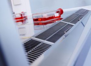 class II biological safety cabinet
