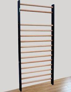 rehabilitation wall bars 1