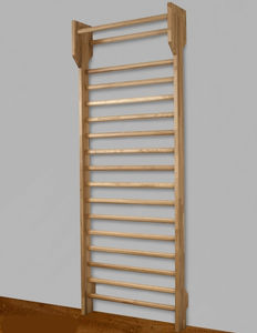 rehabilitation wall bars 1