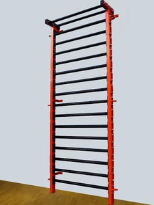 rehabilitation wall bars 1