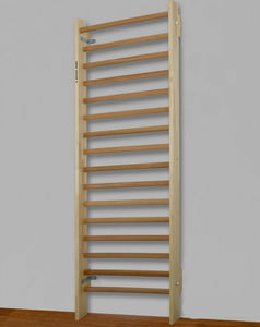 rehabilitation wall bars 1
