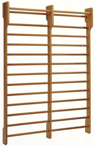 double rehabilitation wall bars