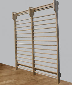 double rehabilitation wall bars