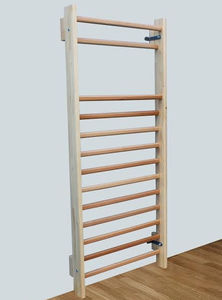 rehabilitation wall bars 1