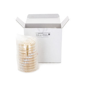 bacteriology Petri dish