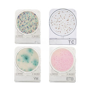 bacteriology Petri dish