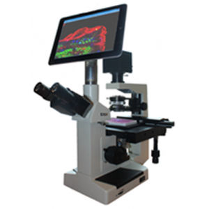 optical microscope