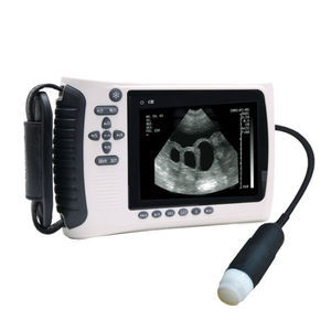 hand-held veterinary ultrasound system