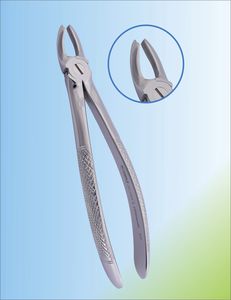 upper molar dental extraction forceps