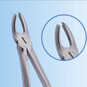 upper molar dental extraction forceps