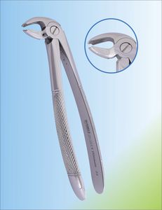 lower molar dental extraction forceps