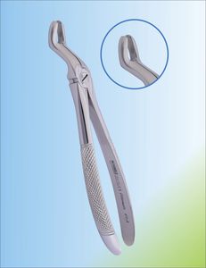 upper molar dental extraction forceps