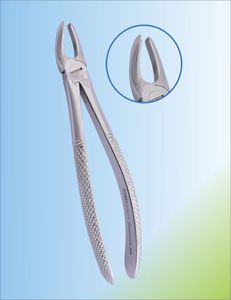 upper molar dental extraction forceps