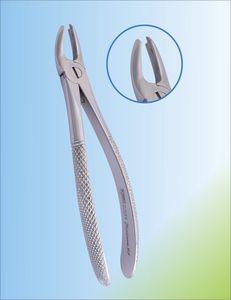 upper molar dental extraction forceps