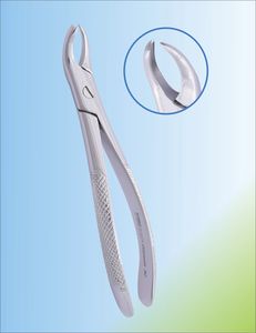 upper molar dental extraction forceps