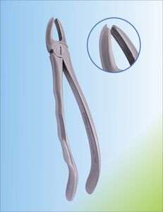 upper molar dental extraction forceps 1