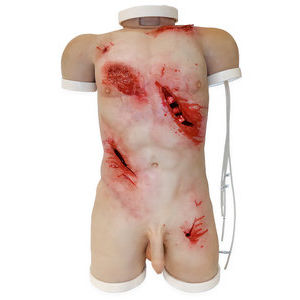 wound management simulator