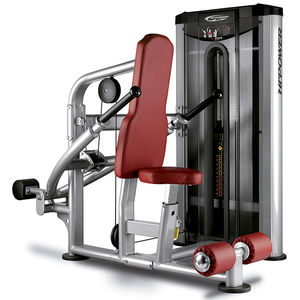 seated dips gym station