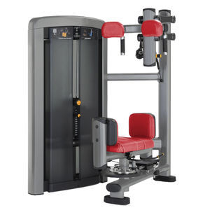 rotary torso gym station