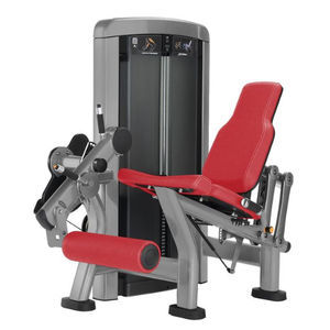 leg extension gym station