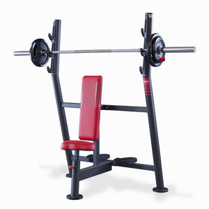 seated weight training bench 1