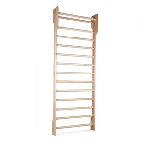 rehabilitation wall bars