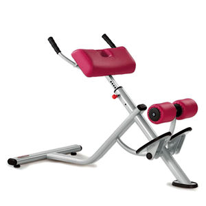 lumbar extension weight training bench