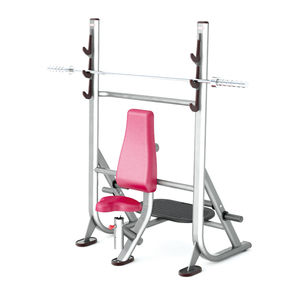 seated weight training bench 1