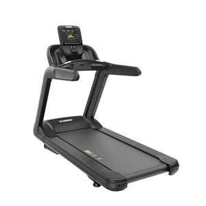 treadmill with handrails
