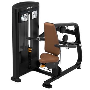 triceps extension gym station