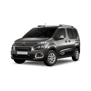 minivan wheelchair accessible vehicle