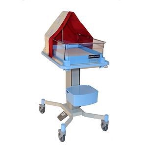 twin hospital bassinet