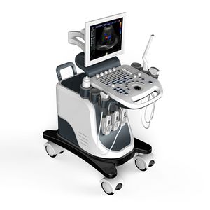 on-platform ultrasound system